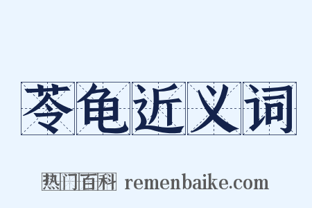 苓龟近义词是什么意思的图片